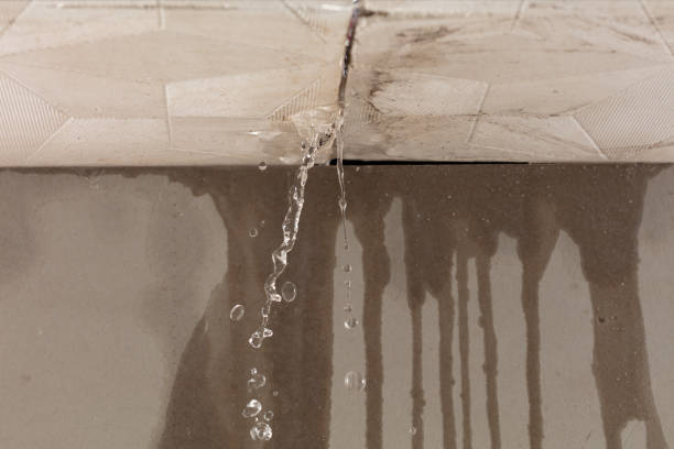 Professional Structural Drying technician working in Dobbs Ferry, NY